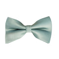 Agave Satin Pre-tied Bow tie