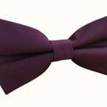 Plum Burgundy Weave Pre-tied Bow Tie