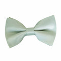 Light Sage Green Pre-tied Bow Tie