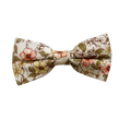 Tan Sage Green Floral Pre-tied Bow Tie